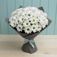 Букет цветов из:  Хризантемы #REPLACE_PRED# Лукино